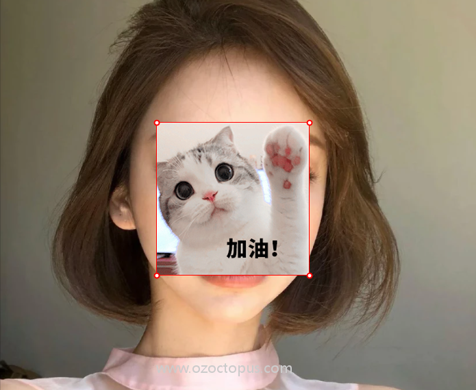 墨尔本援交
